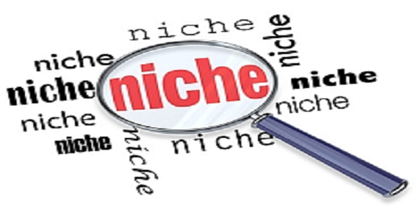 Choosing a Niche CAN’T be This Easy !!