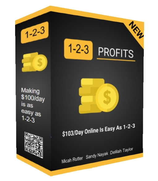 1-2-3 profits review